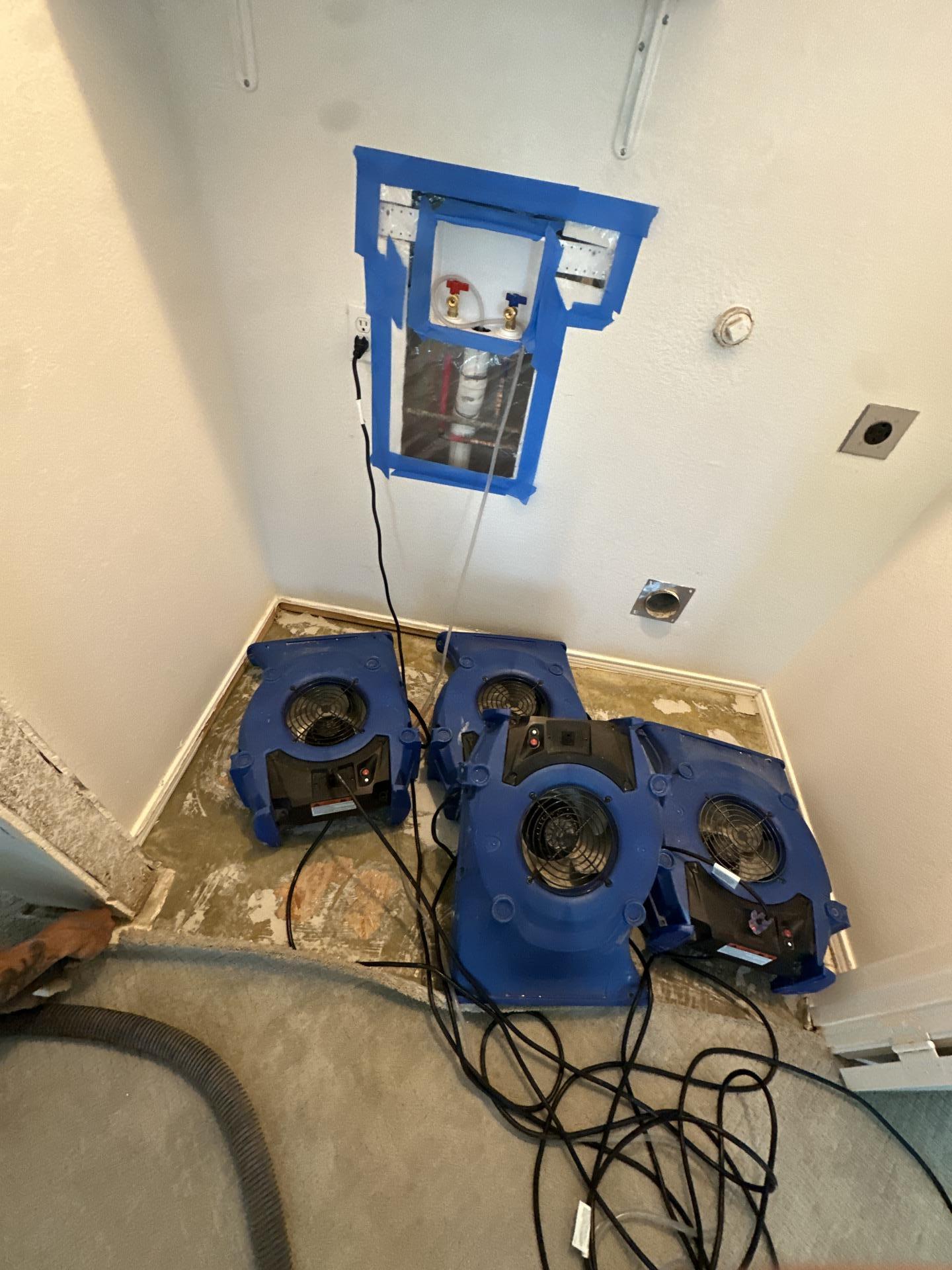 Air movers and dehumidifier drying the laundry room floor