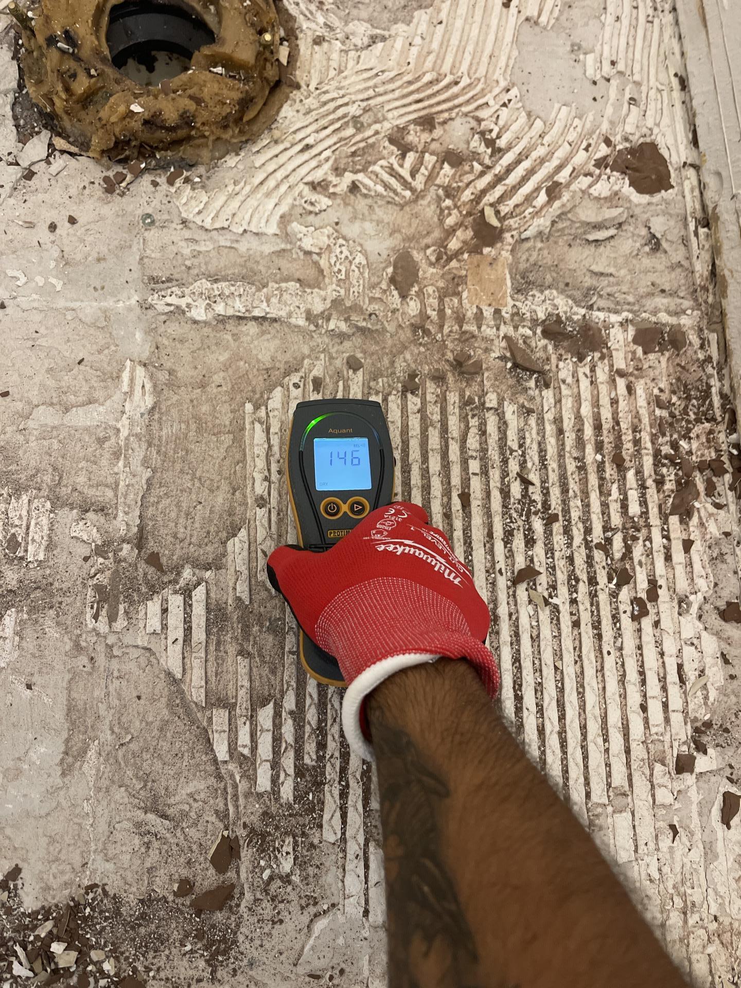 Master bathroom demo and moisture inspection after the washing machine drain leak