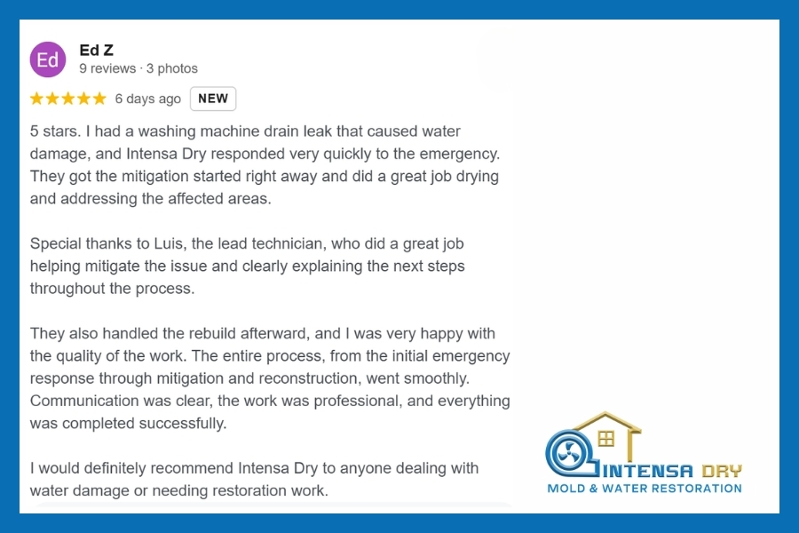 Five star Google review from a happy McKinney homeowner after water damage restoration by Intensa Dry