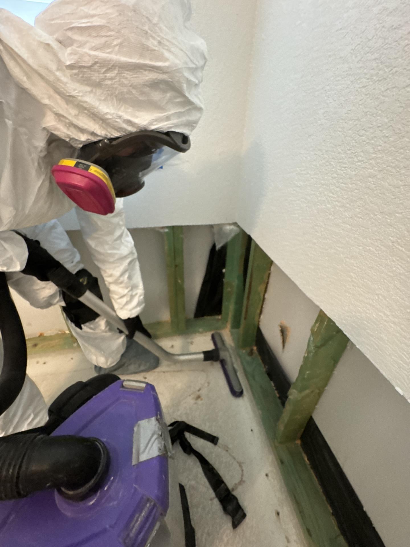 HEPA vacuuming a master bedroom during the mold remediation process