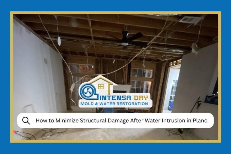How to Minimize Structural Damage After Water Intrusion in Plano