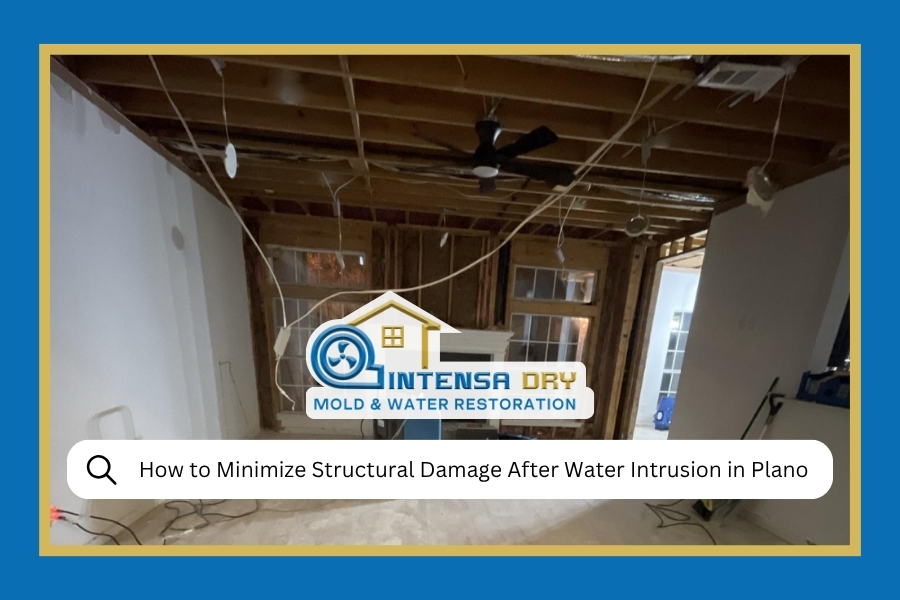 How to Minimize Structural Damage After Water Intrusion in Plano