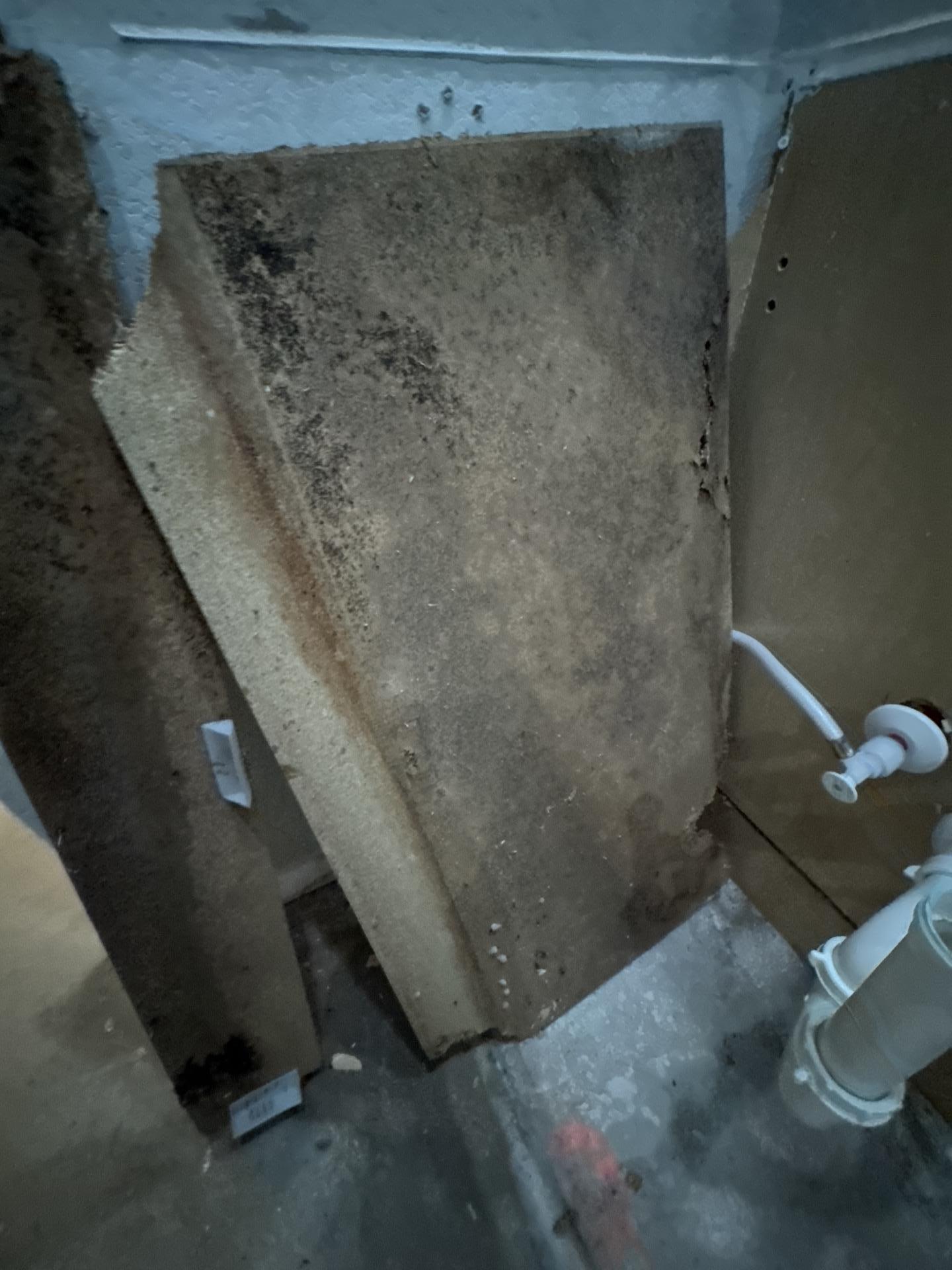 Drywall removal during mold remediation in a bathroom