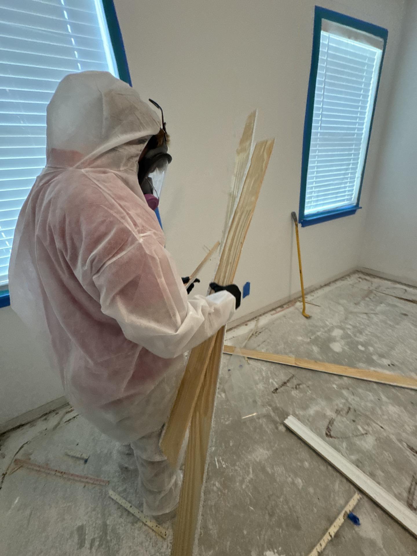 Master bedroom demo in progress during mold remediation