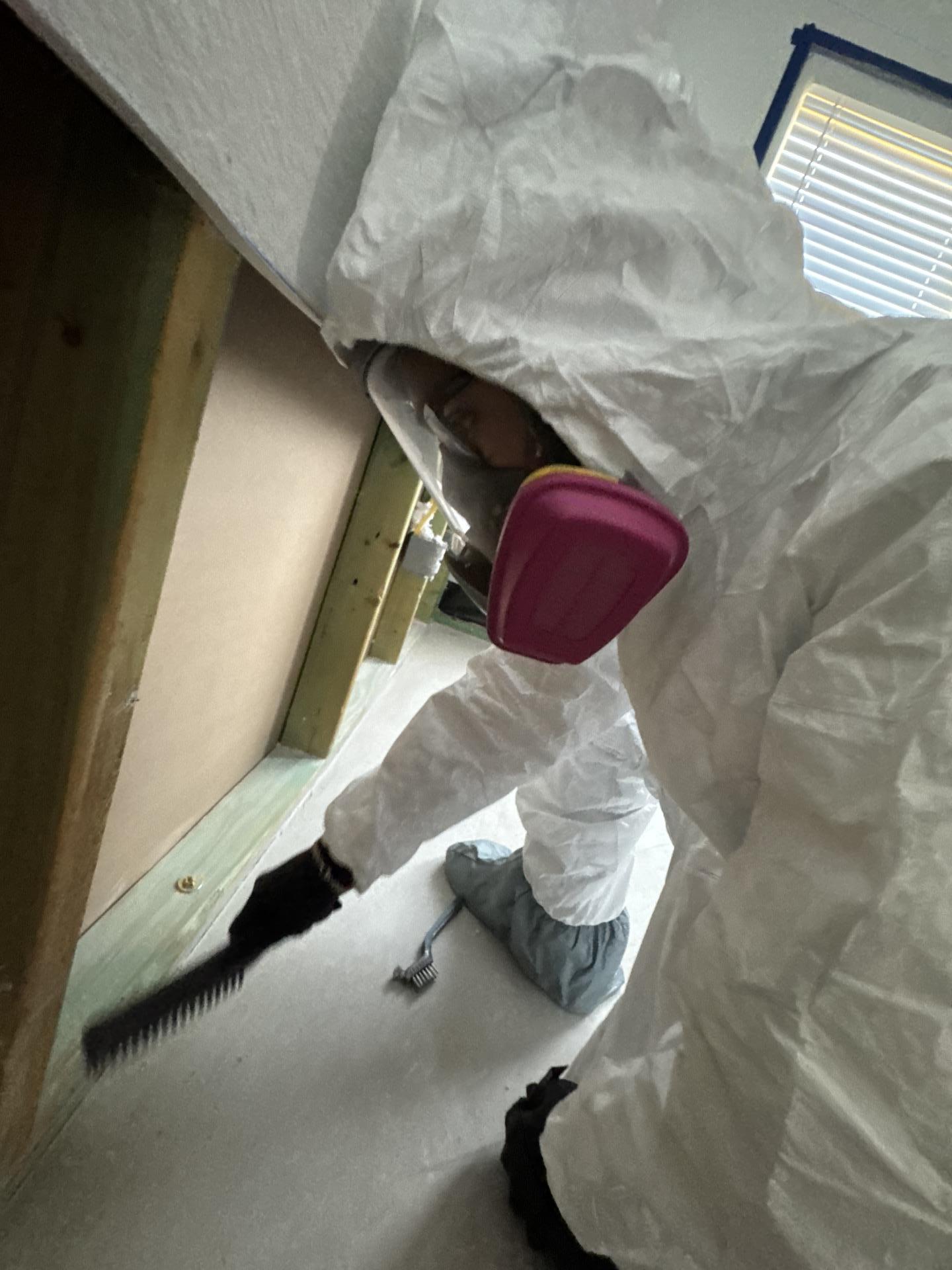 Technician in full PPE performing mold remediation in the dining room