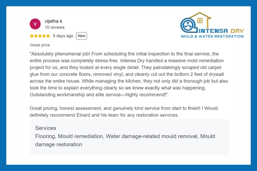 Customer review highlighting the detailed workmanship and clear communication from the Intensa Dry team