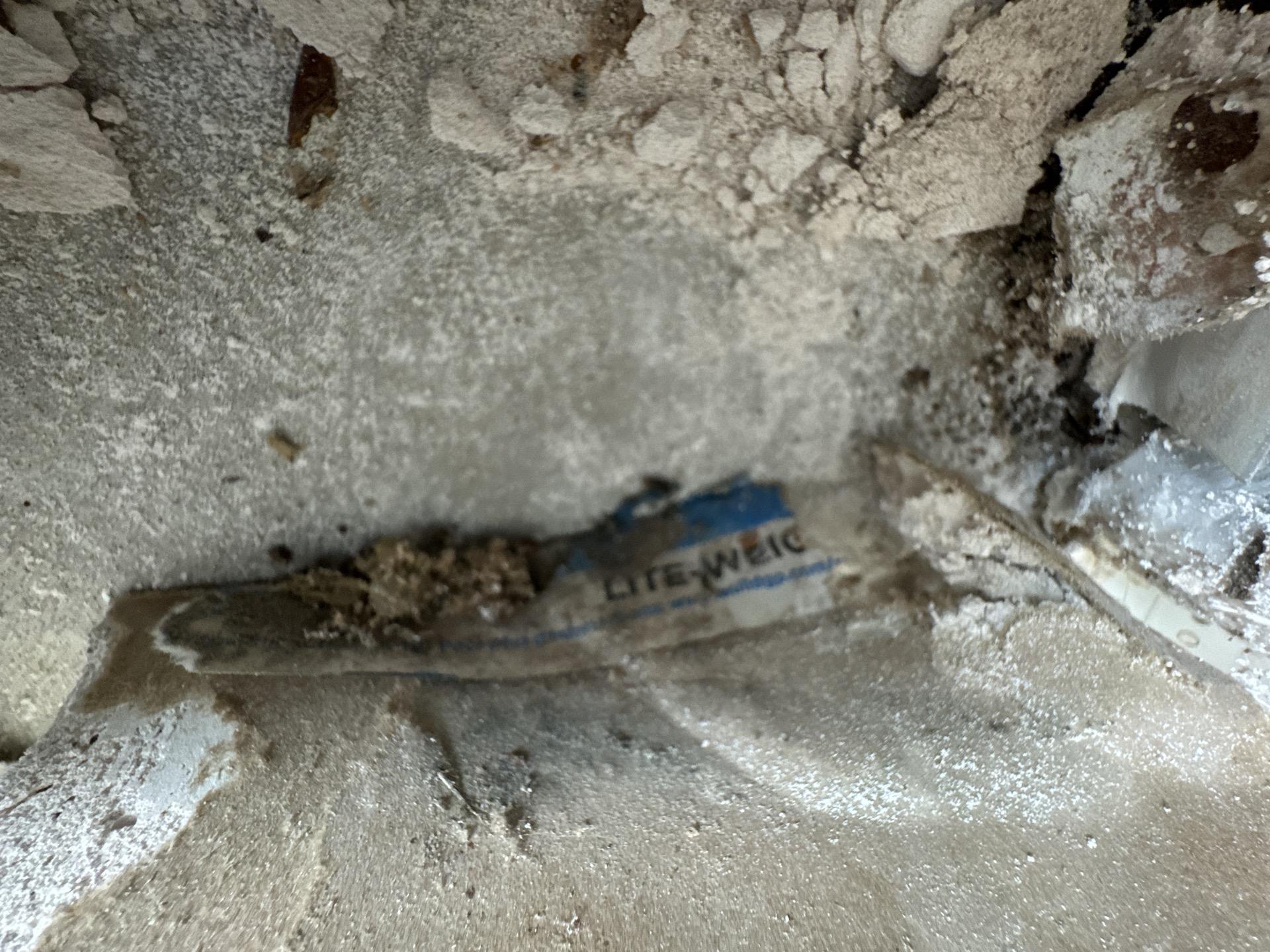 Visible mold on structural materials revealed after living room demo