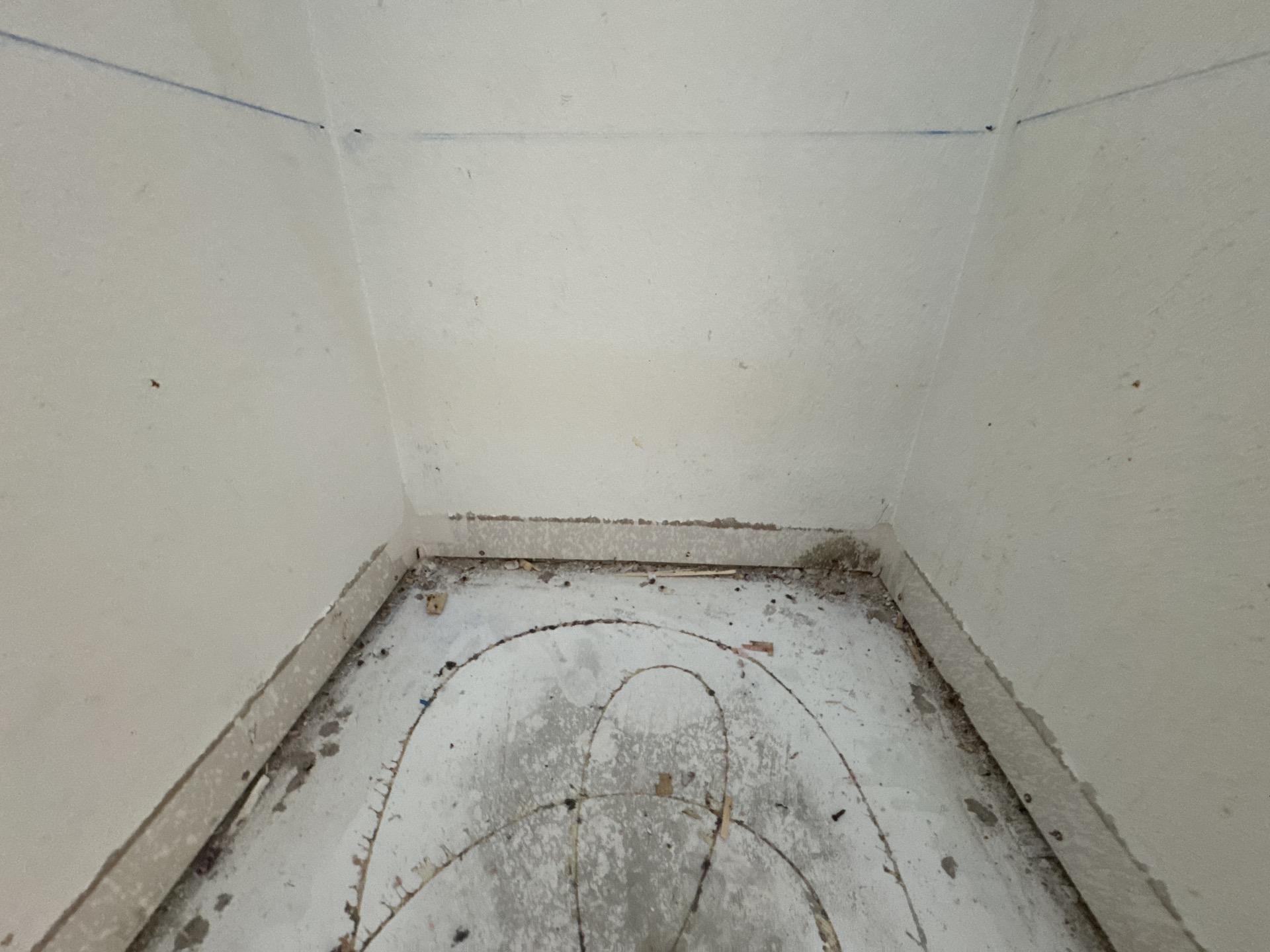 Visible mold growth along a bedroom wall before remediation