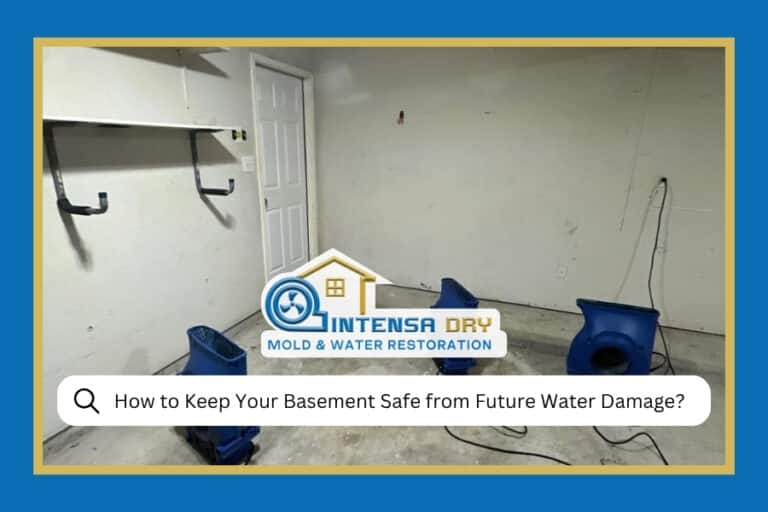 How To Keep Your Basement Safe From Future Water Damage