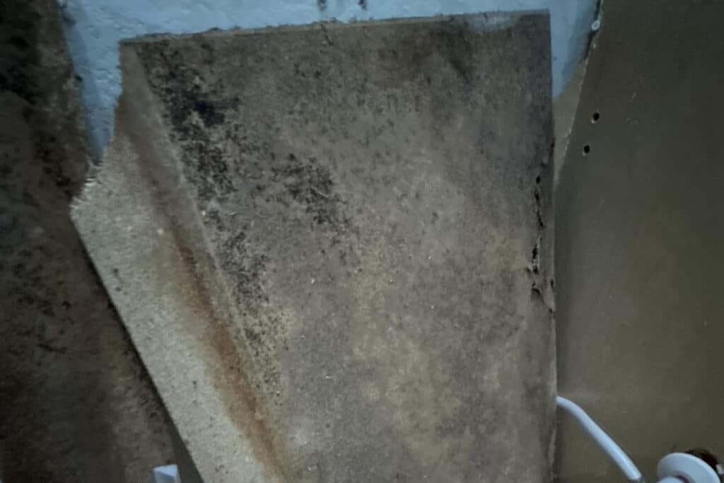 Mold-damaged drywall being removed during mold remediation