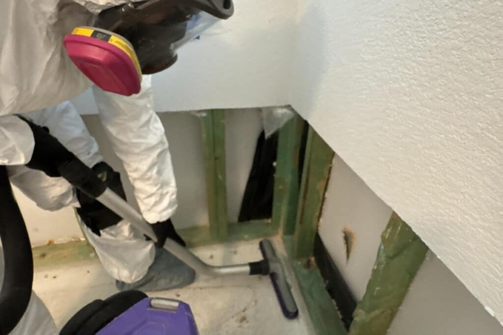Technician HEPA vacuuming framing during mold remediation